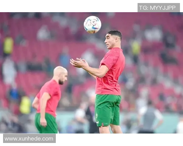 已注册的足球明星背后的故事与成就揭秘